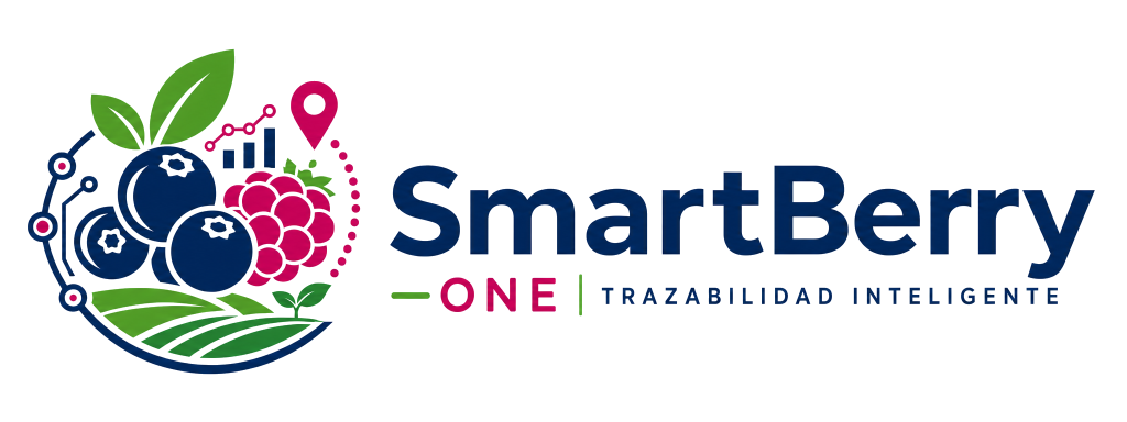 SmartBerry ONE